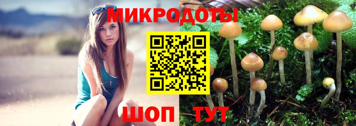Галлюциногенные грибы GOLDEN TEACHER  Вход с VPN  Псилоцибиновые грибы ЛСД  Долгопрудный 